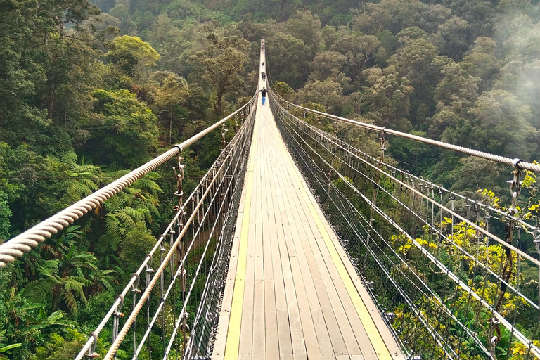 From Jakarta/Bandung: Sky-Bridge & Volcanic Crater Tour Start from Jakarta