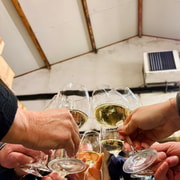 Haye-Fouassière: Visit and wine tasting at a family-run winery