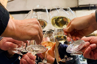 Haye-Fouassière: Visit and wine tasting at a family estate