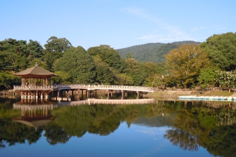 Nara: Todai-ji y parque de Nara (Spaanse gids)