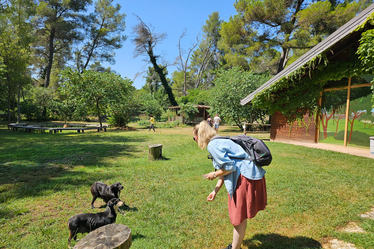 From Durrës: Divjakë-Karavasta National Park Day Trip