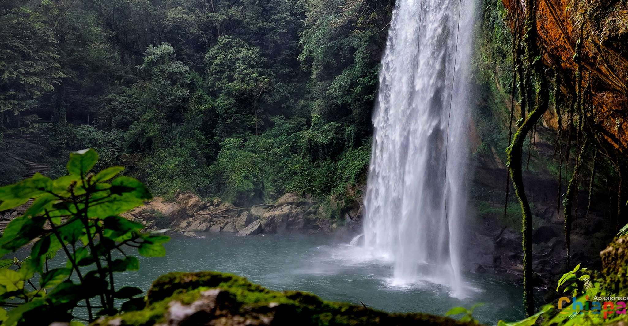 Tuxtla Gutierrez, Agua Azul, Misol Ha & Palenque Experience - Housity