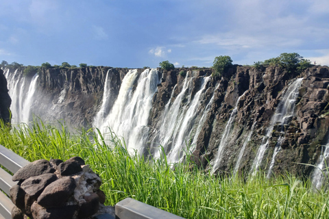 Livingstone: Victoria Falls, Rhino Encounter, & Chobe Safari