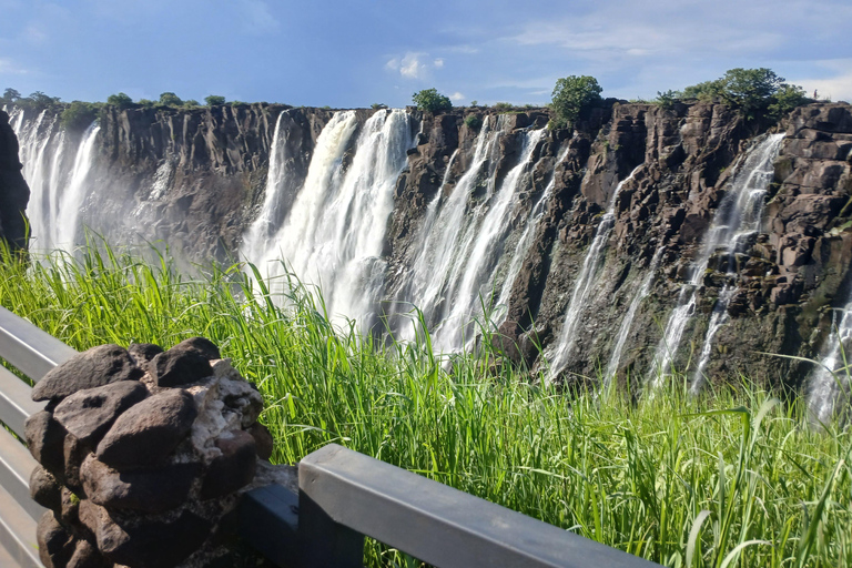 Livingstone: Victoria Falls, Rhino Encounter, & Chobe Safari
