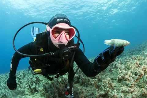 Malta: 1-daagse PADI Scuba Diver certificeringscursus voor beginners