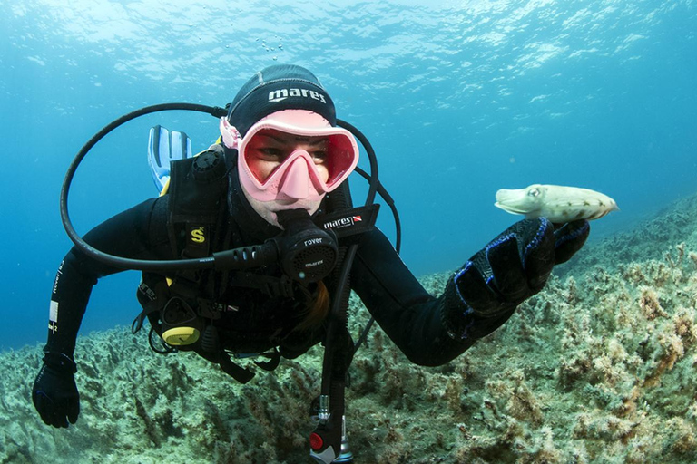 Malta: 1-Tages PADI Scuba Diver Brevetierung Anfängerkurs