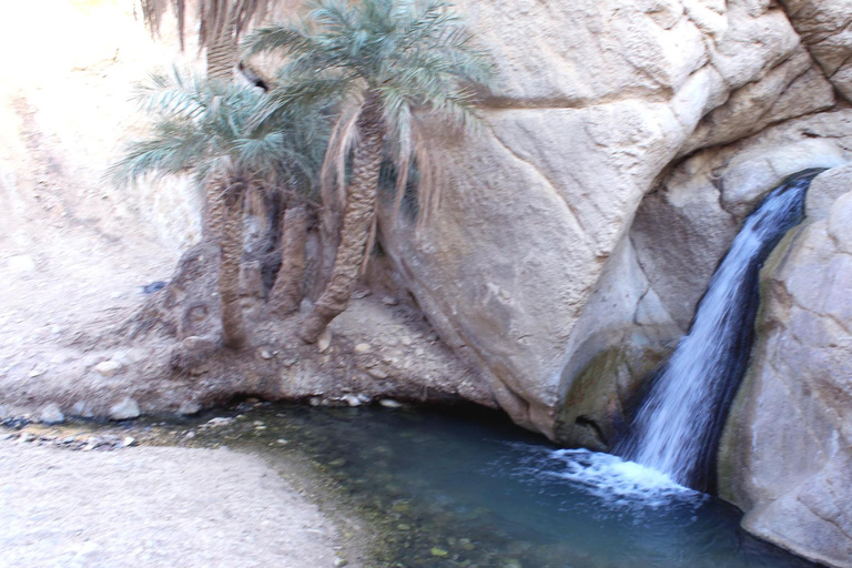 Desde Yerba: Excursión de 2 días a Tozeur, la matmata de los Oasis de Montaña