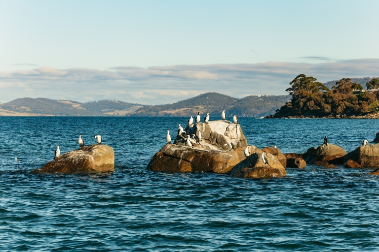 Hobart: 2,5 uur Iron Lighthouse Cruise