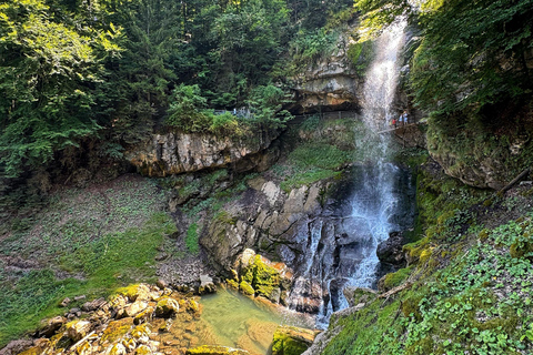 إنترلاكن: استكشف إيسلتوالد وجيسباخ بجولة بالدراجة الكهربائية