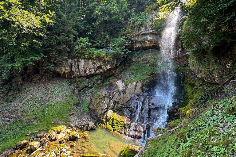 إنترلاكن: استكشف إيسلتوالد وجيسباخ بجولة بالدراجة الكهربائية
