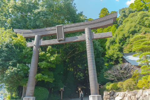 From Fukuoka: Miyazaki, Takachiho Gorge and Shrines Day Tour