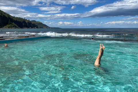 Sydney: Royal National Park tour with picnic RNP Private Tour