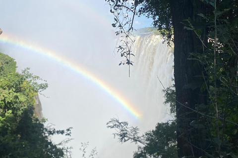 Victoria Falls: Private leisure tour with dinner transfer
