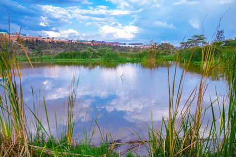Kigali: Wildlife Rescue & Wetland Conservation Experience