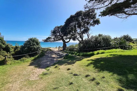 From Auckland: Kiwi Wilderness Experience Guided Tour