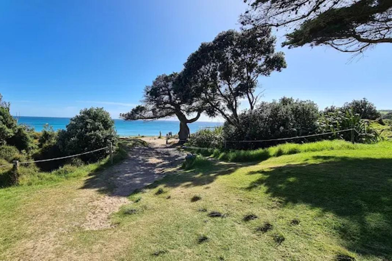 From Auckland: Kiwi Wilderness Experience Guided Tour