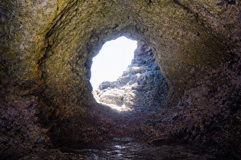 Ischia: Guided Snorkeling among Caves and Submerged Ruins