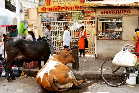 Mumbai: tour panoramico privato e tour dei bassifondi con un abitante del luogo