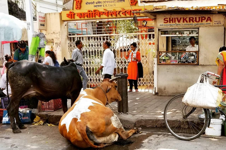 Mumbai: tour panoramico privato e tour dei bassifondi con un abitante del luogo