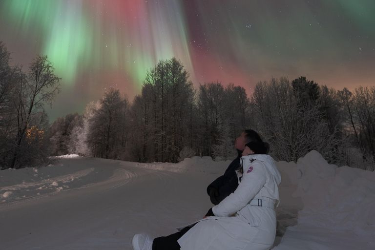 Rovaniemi: 5-star Northern Lights Tour + Pro Photos & Videos Aurora Hunting Photo Tour - another best seller ♥︎♥︎♥︎♥︎♥︎