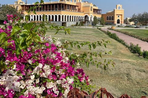 Paracas e Huacachina: Ilhas, Dune Buggy e Piquenique ao Pôr do SolParacas e Huacachina: Ilhas, Buggy nas Dunas e Piquenique ao Pôr do Sol