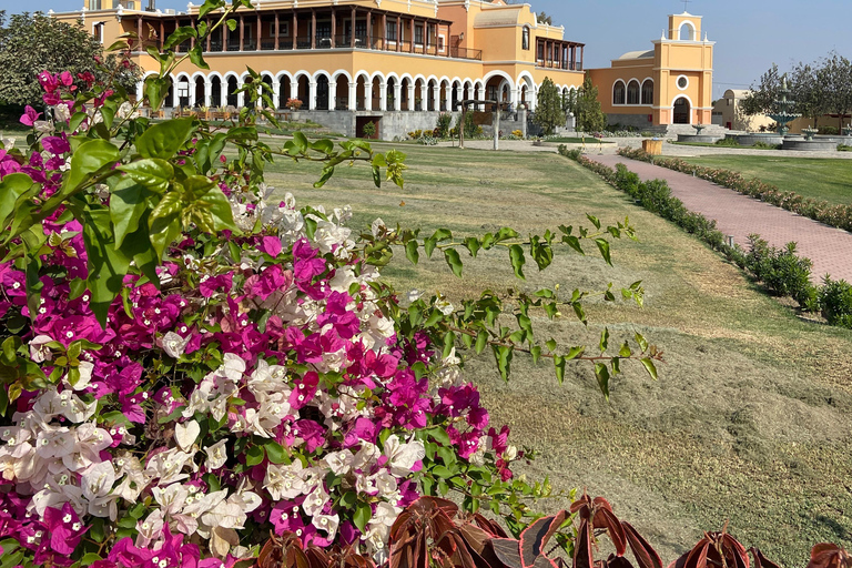 Paracas e Huacachina: Ilhas, Dune Buggy e Piquenique ao Pôr do SolParacas e Huacachina: Ilhas, Buggy nas Dunas e Piquenique ao Pôr do Sol