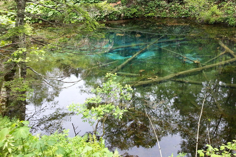 Shiretoko & Kiyosato: Five Lakes Full-Day Nature Tour