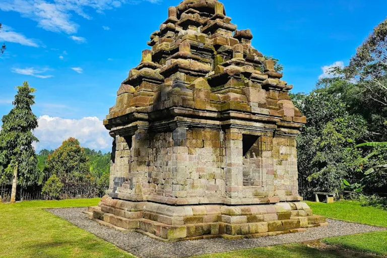 Avventura al Tempio di Selogriyo: trekking tra risaie e rafting sul fiume EloAvventura al tempio di Selogriyo: trekking nella risaia e rafting sul fiume Elo