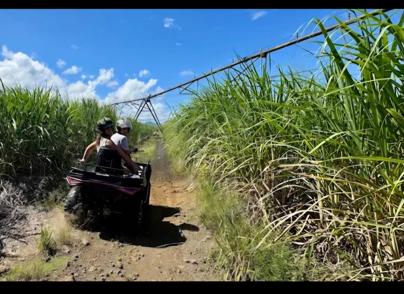 Den sydlige del af Mauritius: Quad Bike-tur