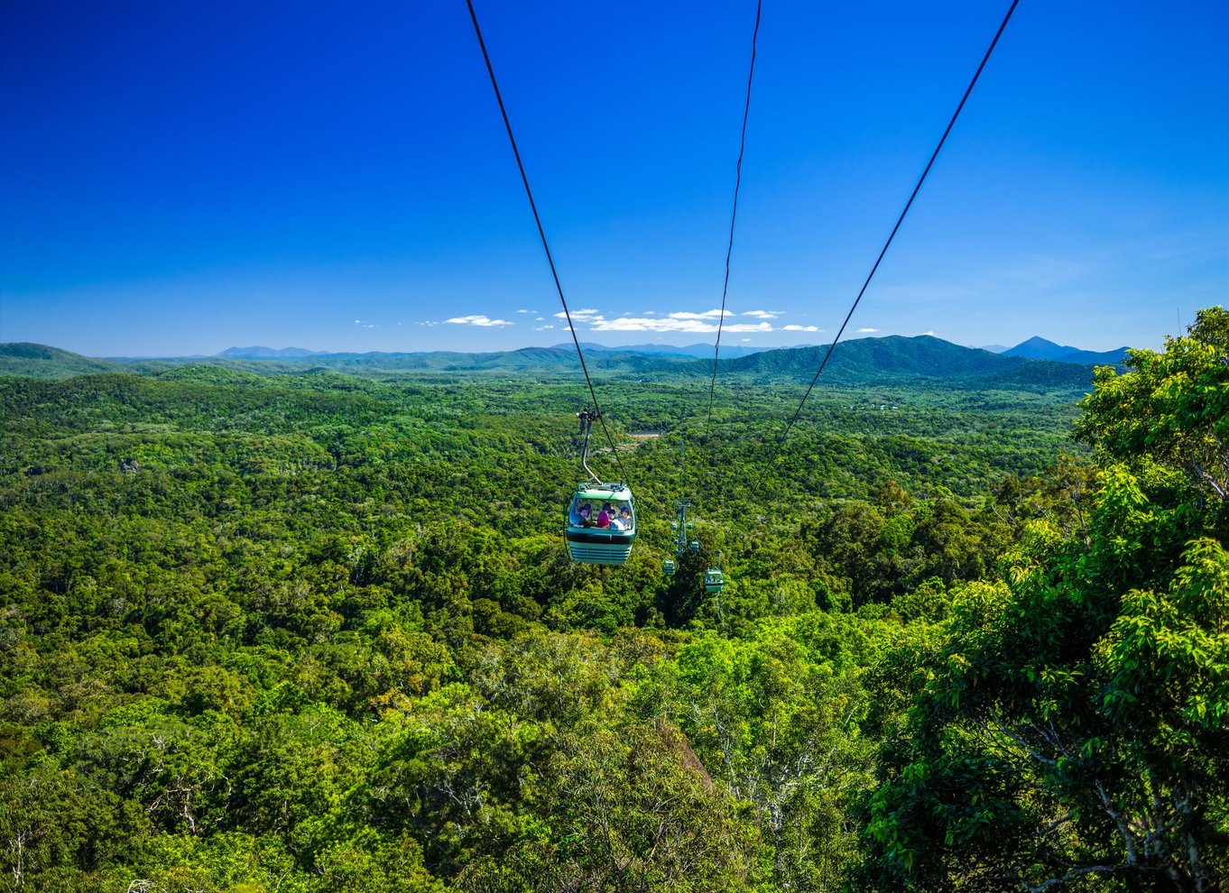 Fra Cairns: Selvguidet Kuranda-tur med tog og Skyrail