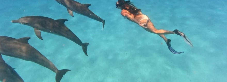 Zanzibar : île de Mnemba et nage avec les dauphins, déjeuner en option