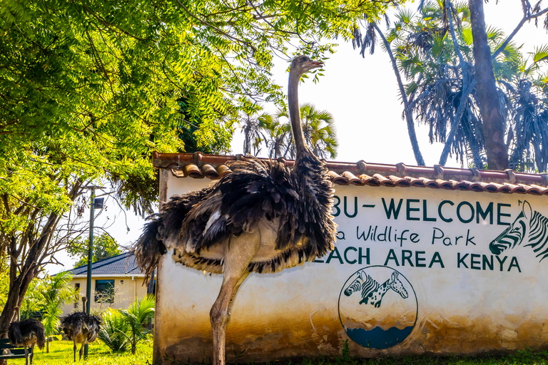 Exploring Nature's Treasures: A Private Day Trip in Diani Exploring Nature's Treasures: A Day Trip in Diani