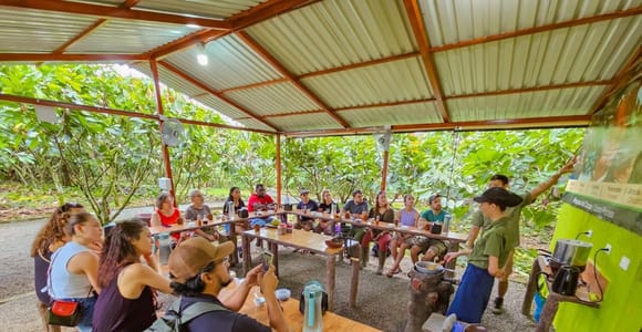La Fortuna: North Fields Hands-On Coffee and Chocolate Tour
