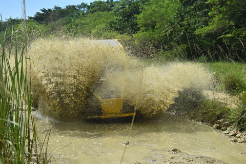 7 Waterfalls Damajagua and Dune Buggy