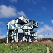 Adelaide: McLaren Vale Private Wine Tour and Your Chosen Tastings