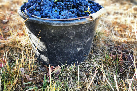 Paris: Prestige Sancerre Wine Tour with 10 Tastings & Lunch