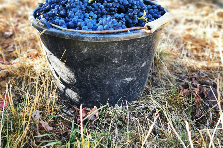 Paris: Prestige Sancerre Wine Tour with 10 Tastings & Lunch