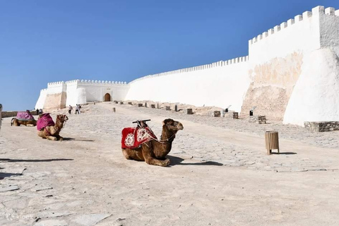 From Agadir: City tour with cable car and Coco Polizzi included