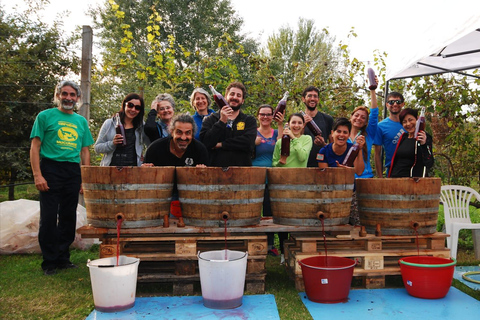 Livorno/Piombino: wyprawa do Pizy i Lukki z degustacjąLivorno/Piombino: Pisa &amp; Lucca Shore Excursion with Tasting