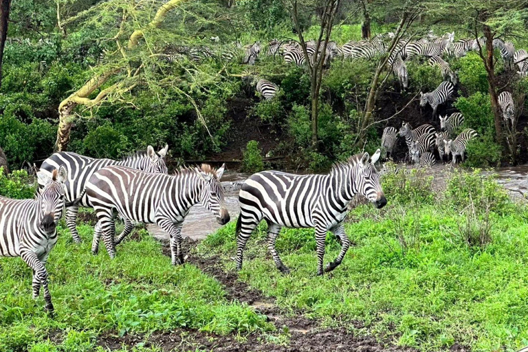 Parco Nazionale di Nairobi: con una jeep aperta con tetto pop