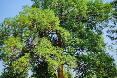 Parque Nacional de Cat Tien Tour particular de 2 dias com guia de turismoNão inclui alimentação e hotel