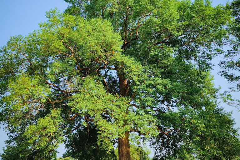 Excursión privada de 2 días al Parque Nacional de Cat Tien con guía femeninaComida y hotel excluidos