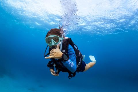 Diving Budva: 2-Tank Scuba Diving Tour for Certified Divers