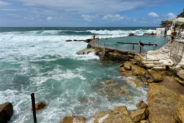 Sydney: city tour particular pelo porto e por Bondi com transferSydney: Excursão particular pela cidade, pelo porto e por Bondi com transporte