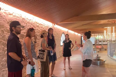 Montpellier : Wine Tour Pic St Loup