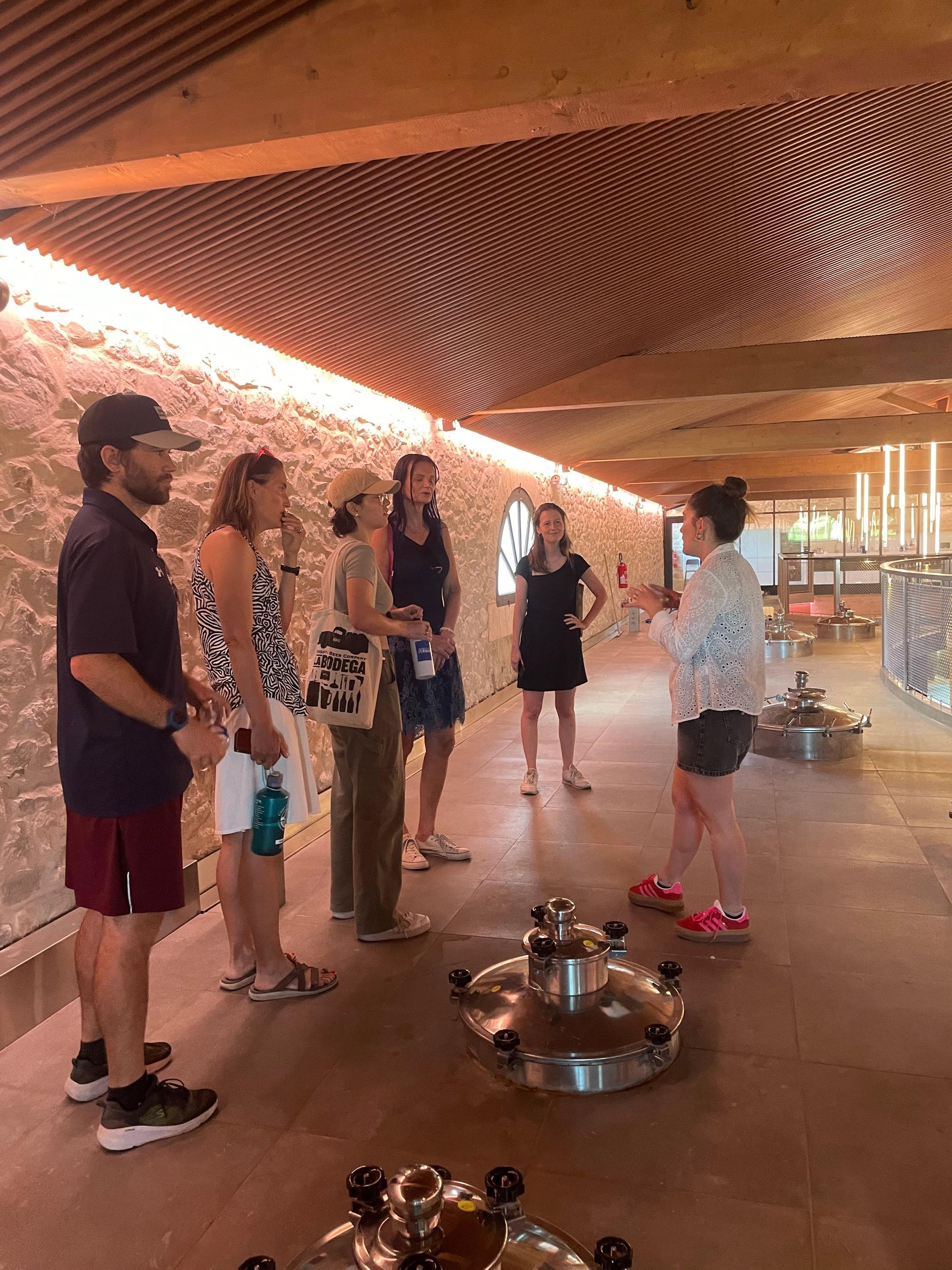 Montpellier : Wein Tour Pic St Loup