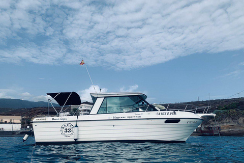 Santa Cruz de Tenerife: Private Family Fishing Tour