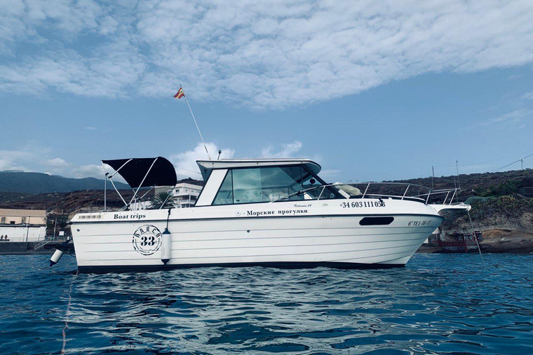 Santa Cruz de Tenerife: Private Family Fishing Tour