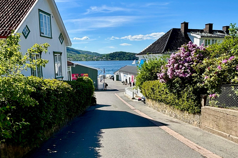 From Oslo: Drøbak and Oscarsborg Fortress Day Trip