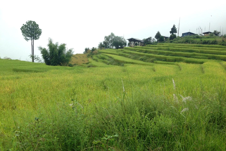 Bhutan: 5-Day Private Wellness & Tiger’s Nest Tour